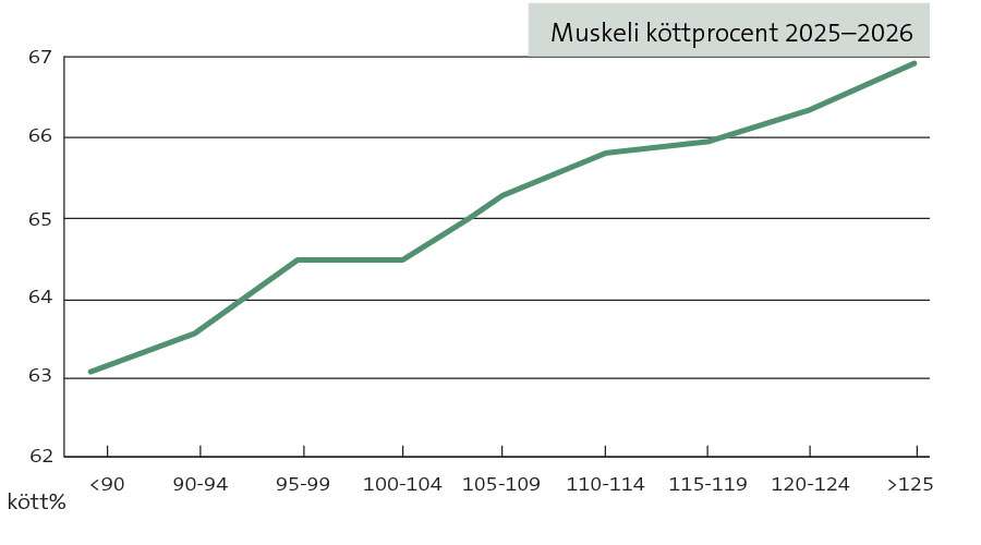 Muskeli köttprocent Muskeli köttprocent