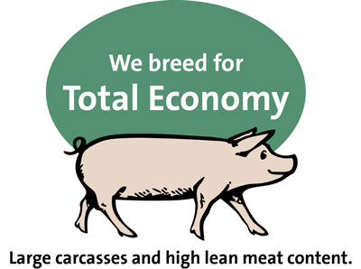 Total Economy Total Economy