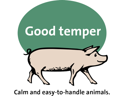 Good temper
