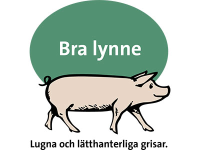 Bra lynne Bra lynne