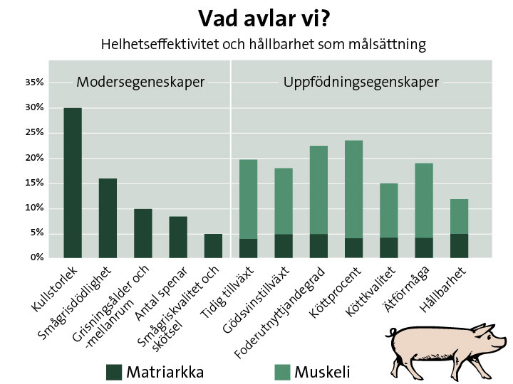 Vad avlar vi? Vad avlar vi?