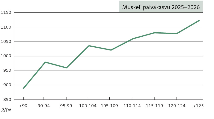 Muskeli päiväkasvu Muskeli päiväkasvu